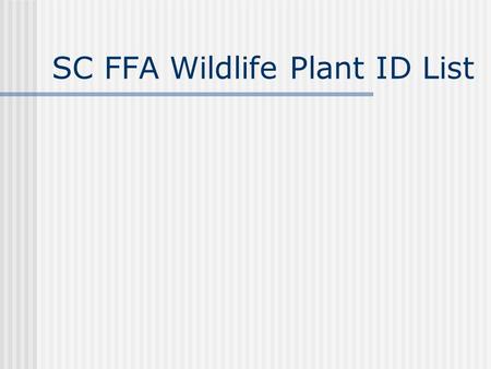 SC FFA Wildlife Plant ID List. Alfalfa Austrian Winter Pea.