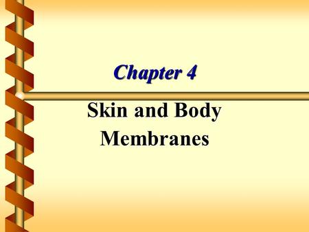 Chapter 4 Skin and Body Membranes