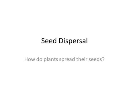 How do plants spread their seeds?