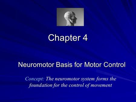 Neuromotor Basis for Motor Control