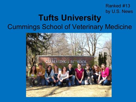 Tufts University Cummings School of Veterinary Medicine Ranked #13 by U.S. News.