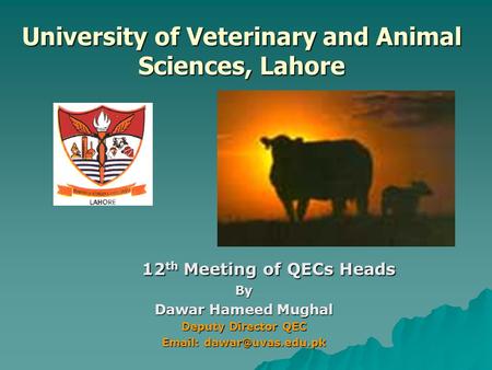 University of Veterinary and Animal Sciences, Lahore 12 th Meeting of QECs Heads By Dawar Hameed Mughal Deputy Director QEC