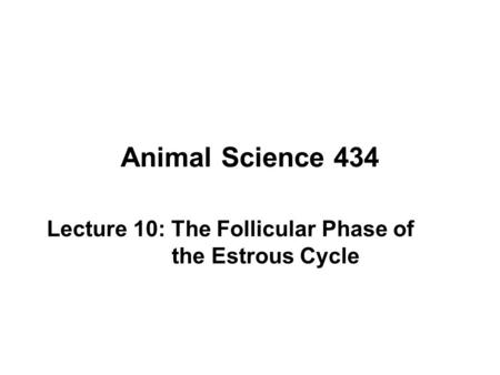 Lecture 10: The Follicular Phase of the Estrous Cycle