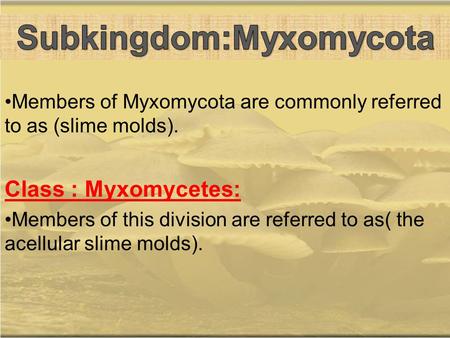 Subkingdom:Myxomycota