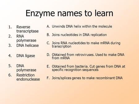 Enzyme names to learn 1.Reverse transcriptase 2.RNA polymerase 3.DNA helicase 4.DNA ligase 5.DNA polymerase 6.Restriction endonuclease A.Unwinds DNA helix.
