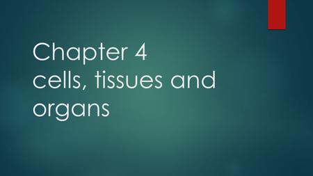 Chapter 4 cells, tissues and organs