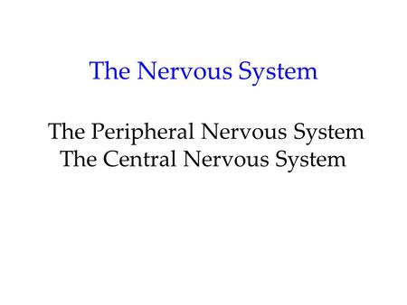 The Nervous System Nervous System: Consists of all the nerve cells. It is the body’s speedy, electrochemical communication system. Central Nervous System.
