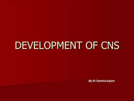 DEVELOPMENT OF CNS By Dr Samina Anjum.