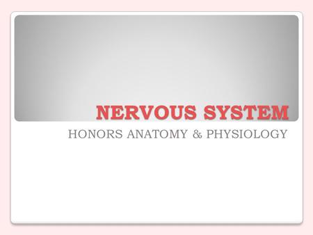 NERVOUS SYSTEM HONORS ANATOMY & PHYSIOLOGY. Tissue & Homeostasis Nervous Tissue & Homeostasis excitable characteristic of nervous tissue allows for generation.