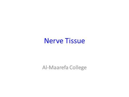 Nerve Tissue Al-Maarefa College. Nerve Tissue Cells have very high ability to – Respond to stimuli – Transmit impulses.