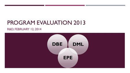 PROGRAM EVALUATION 2013 R&D, FEBRUARY 12, 2014 DBEEPEDML.