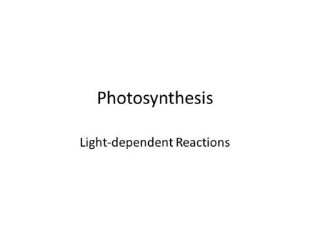 Light-dependent Reactions
