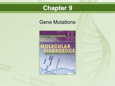 Chapter 9 Gene Mutations.