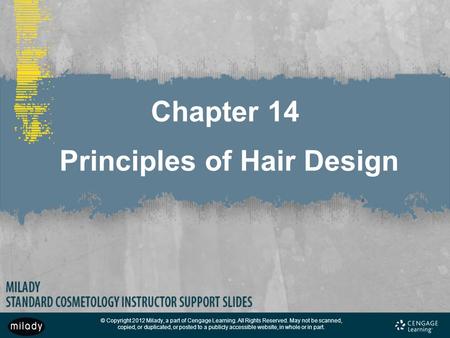 Chapter 14 Principles of Hair Design