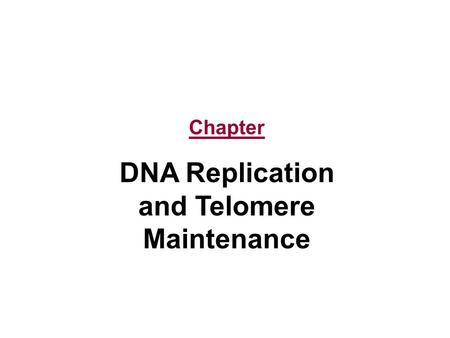 Chapter DNA Replication and Telomere Maintenance.