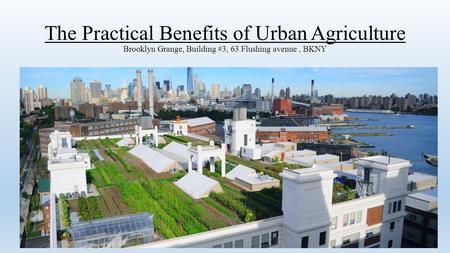 The Practical Benefits of Urban Agriculture Brooklyn Grange, Building #3, 63 Flushing avenue, BKNY.