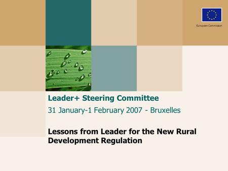 Leader+ Steering Committee 31 January-1 February 2007 - Bruxelles Lessons from Leader for the New Rural Development Regulation European Commission.