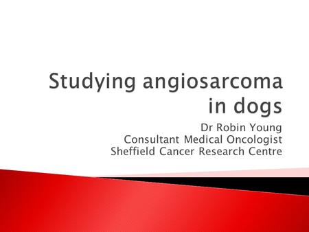 Studying angiosarcoma in dogs