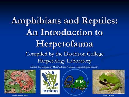 Amphibians and Reptiles: An Introduction to Herpetofauna Compiled by the Davidson College Herpetology Laboratory Eastern Hognose SnakeGreen Tree Frog Edited.