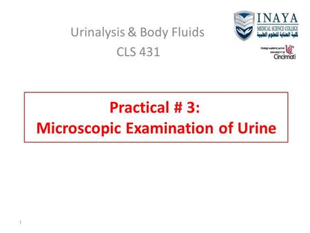 Practical # 3: Microscopic Examination of Urine