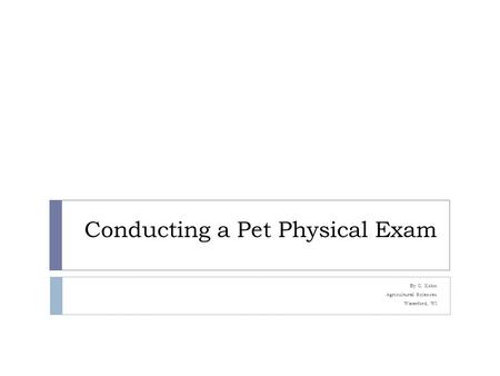 Conducting a Pet Physical Exam