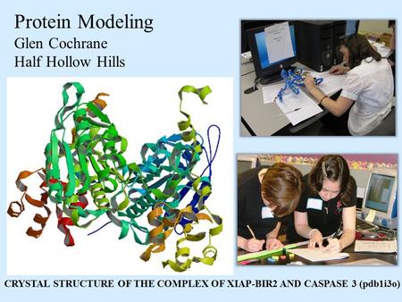 Protein Modeling Glen Cochrane Half Hollow Hills CRYSTAL STRUCTURE OF THE COMPLEX OF XIAP-BIR2 AND CASPASE 3 (pdb1i3o)