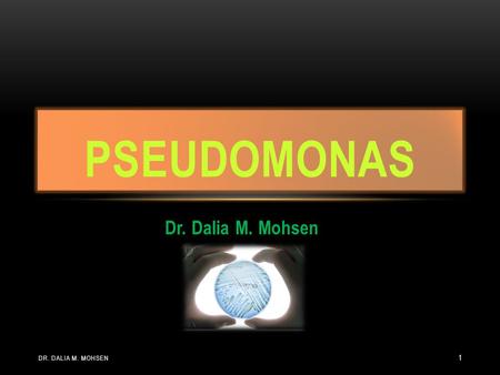 Pseudomonas Dr. Dalia M. Mohsen Dr. Dalia M. mohsen.