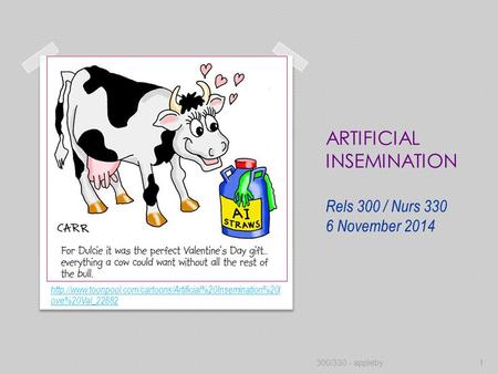 ARTIFICIAL INSEMINATION Rels 300 / Nurs 330 6 November 2014  ove%20Val_22882 300/330 - appleby1.