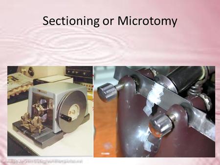Sectioning or Microtomy