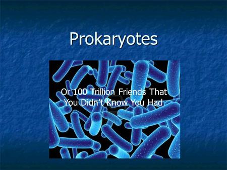 Prokaryotes Or 100 Trillion Friends That You Didn’t Know You Had.