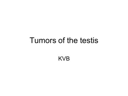 Tumors of the testis KVB.