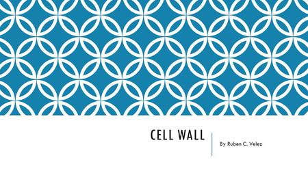 Cell Wall By Ruben C. Velez.