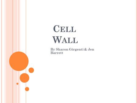 C ELL W ALL By Sharon Girgenti & Jen Barrett. C ELL W ALL Composed of cellulose fiber, polysaccharides, and protein. Function: provides protection and.
