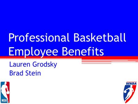 Professional Basketball Employee Benefits Lauren Grodsky Brad Stein.