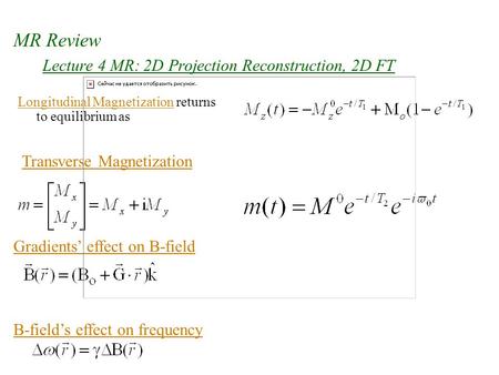 Lecture 4 MR: 2D Projection Reconstruction, 2D FT Longitudinal Magnetization returns to equilibrium as MR Review Transverse Magnetization Gradients’ effect.