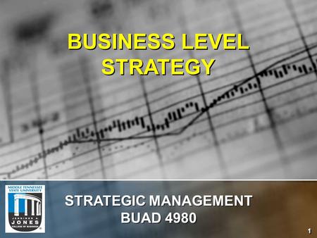 BUSINESS LEVEL STRATEGY STRATEGIC MANAGEMENT BUAD 4980