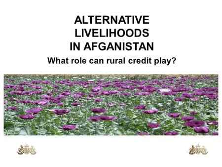 ALTERNATIVE LIVELIHOODS IN AFGANISTAN What role can rural credit play?