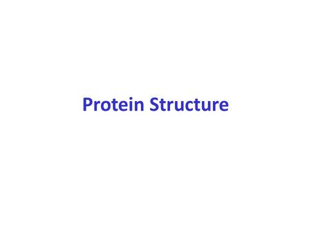 Protein Structure.