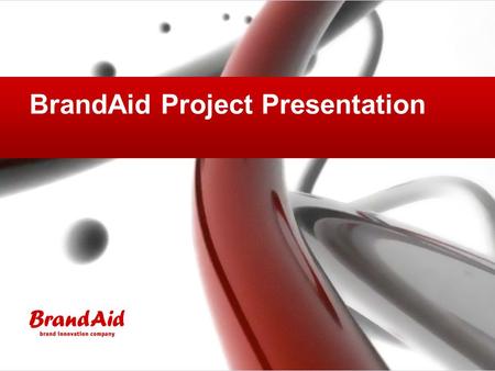 BrandAid Project Presentation