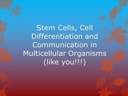 Stem Cell Basics Unspecialized (undifferentiated) cells.