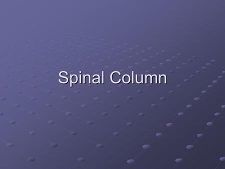 Spinal Column. Myotomes/Dermatomes Myotomes- movement Dermatomes- sensory.
