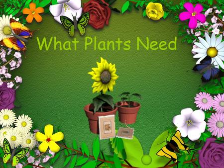 What Plants Need.