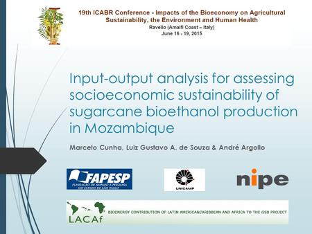 Input-output analysis for assessing socioeconomic sustainability of sugarcane bioethanol production in Mozambique Marcelo Cunha, Luiz Gustavo A. de Souza.