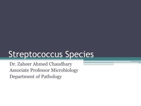 Streptococcus Species