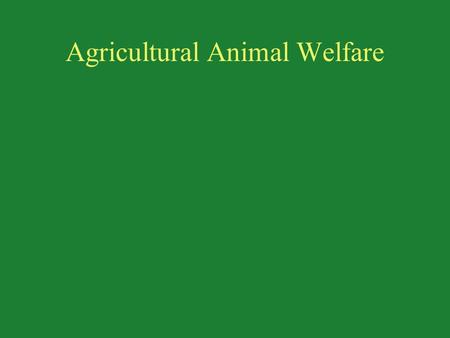 Agricultural Animal Welfare. Does Agriculture improve the welfare of animals…?