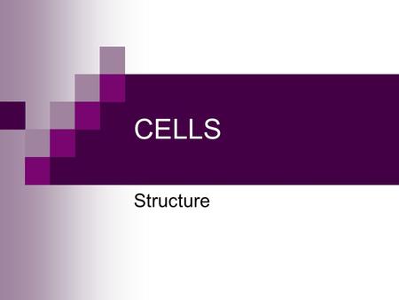 CELLS Structure.