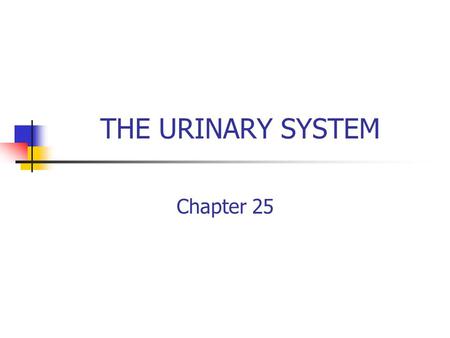 THE URINARY SYSTEM Chapter 25. Introduction Urology is the branch of medicine that deals with the urinary system. There are three functions of the urinary.