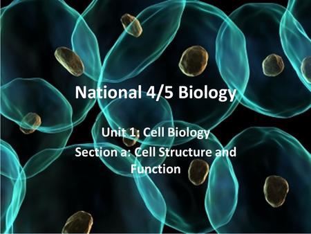 Unit 1: Cell Biology Section a: Cell Structure and Function