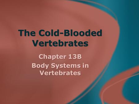 The Cold-Blooded Vertebrates Chapter 13B Body Systems in Vertebrates.