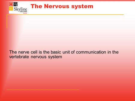 The Nervous system The nerve cell is the basic unit of communication in the vertebrate nervous system.